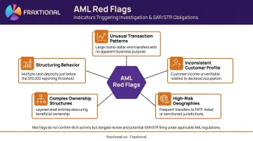 Five AML red flag categories transaction patterns ownership structures and structuring behavior