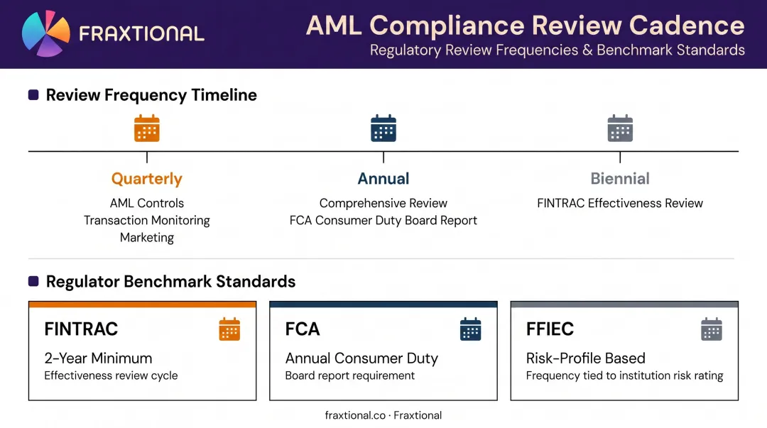 Financial compliance review frequency schedule by regulator and risk area infographic