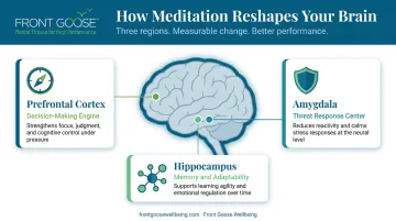 Three brain regions transformed by meditation prefrontal cortex amygdala hippocampus diagram
