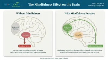 Amygdala to prefrontal cortex stress response pathway before and after mindfulness training