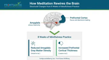 8-week mindfulness meditation brain changes neuroplasticity research findings infographic