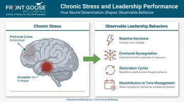 Chronic stress effects on leadership brain behavior and decision-making infographic