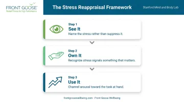 Three-step stress reappraisal framework see it own it use it process flow
