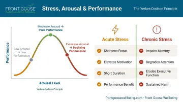 Acute versus chronic stress performance impact comparison infographic Yerkes-Dodson curve