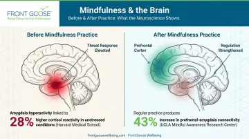 Mindfulness brain changes prefrontal cortex activation and amygdala reactivity reduction diagram