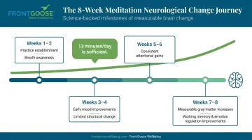 8-week meditation brain change timeline with daily practice milestones