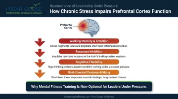 Chronic stress effects on prefrontal cortex brain function and decision-making impairments