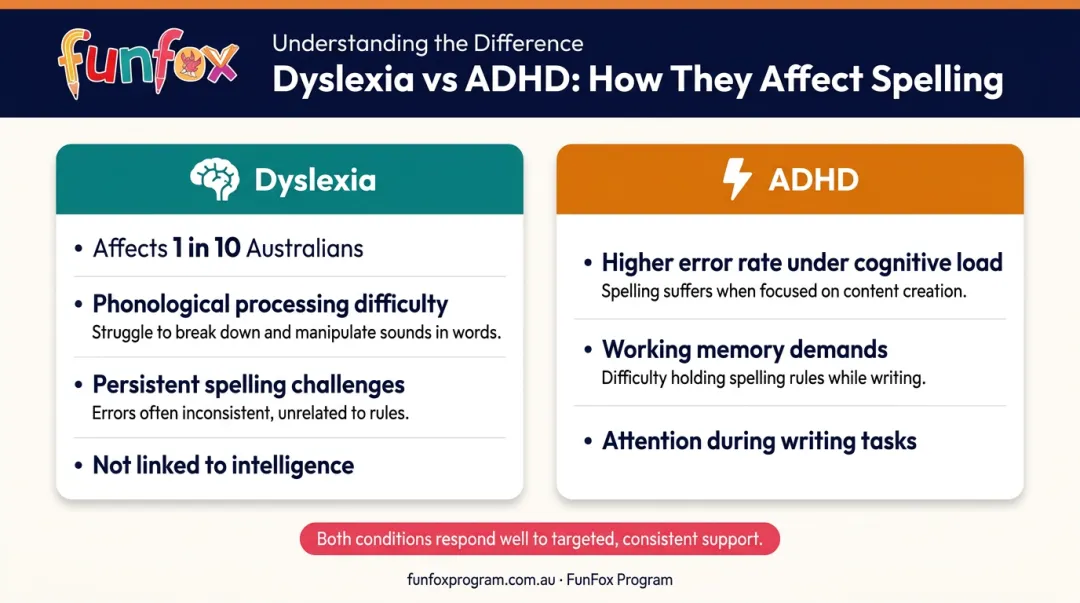 Dyslexia versus ADHD spelling challenges comparison infographic for primary students