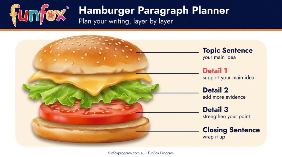Hamburger paragraph organiser visual model for Year 3 students writing structure