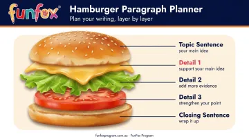 Hamburger paragraph organiser visual model for Year 3 students writing structure