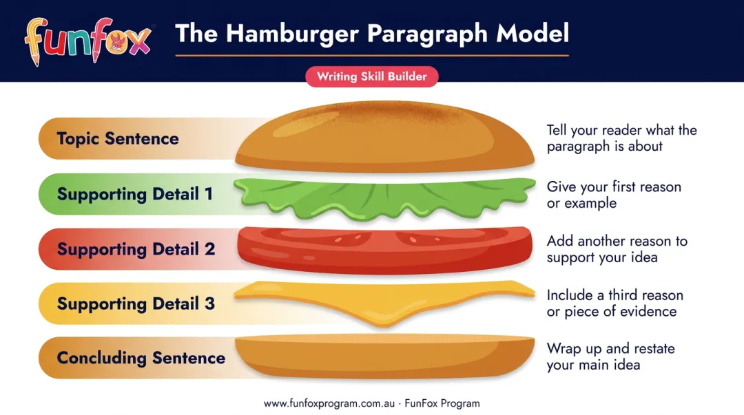 Hamburger paragraph model showing topic sentence fillings and concluding sentence