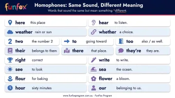 Year 4 homophones comparison chart showing sound-alike words and their meanings