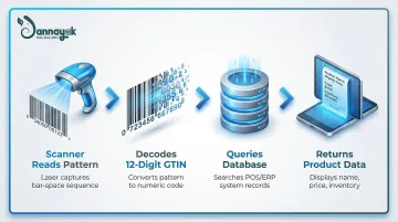 Infographic