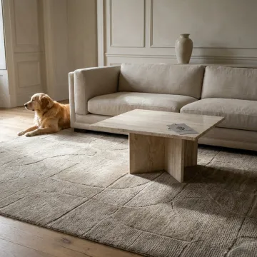 Elegant washable pet-friendly area rug in a living room