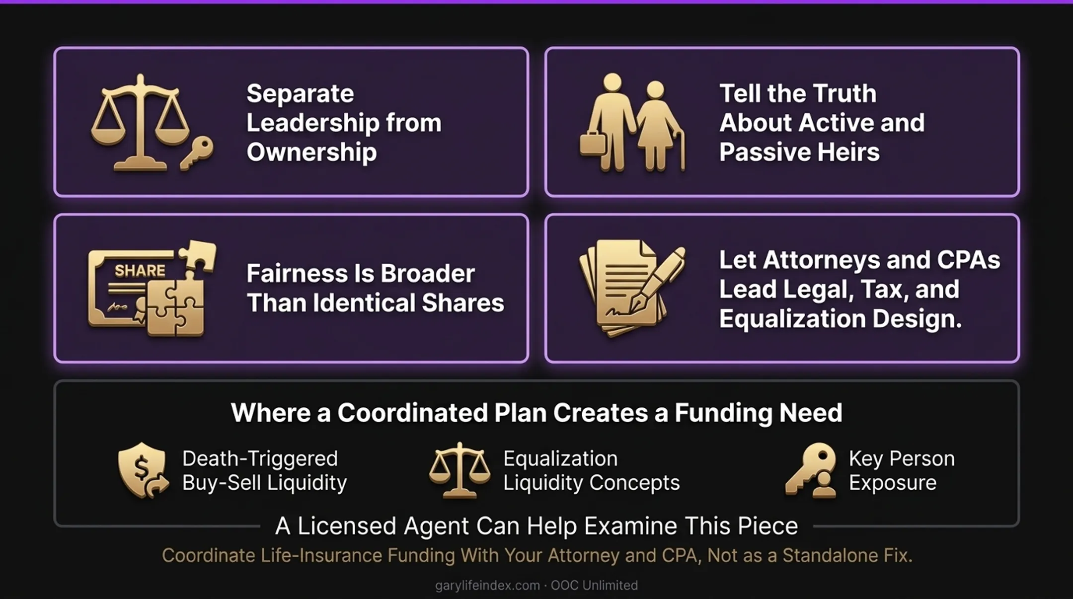 Licensed agent discussing life insurance funding in a family succession plan
