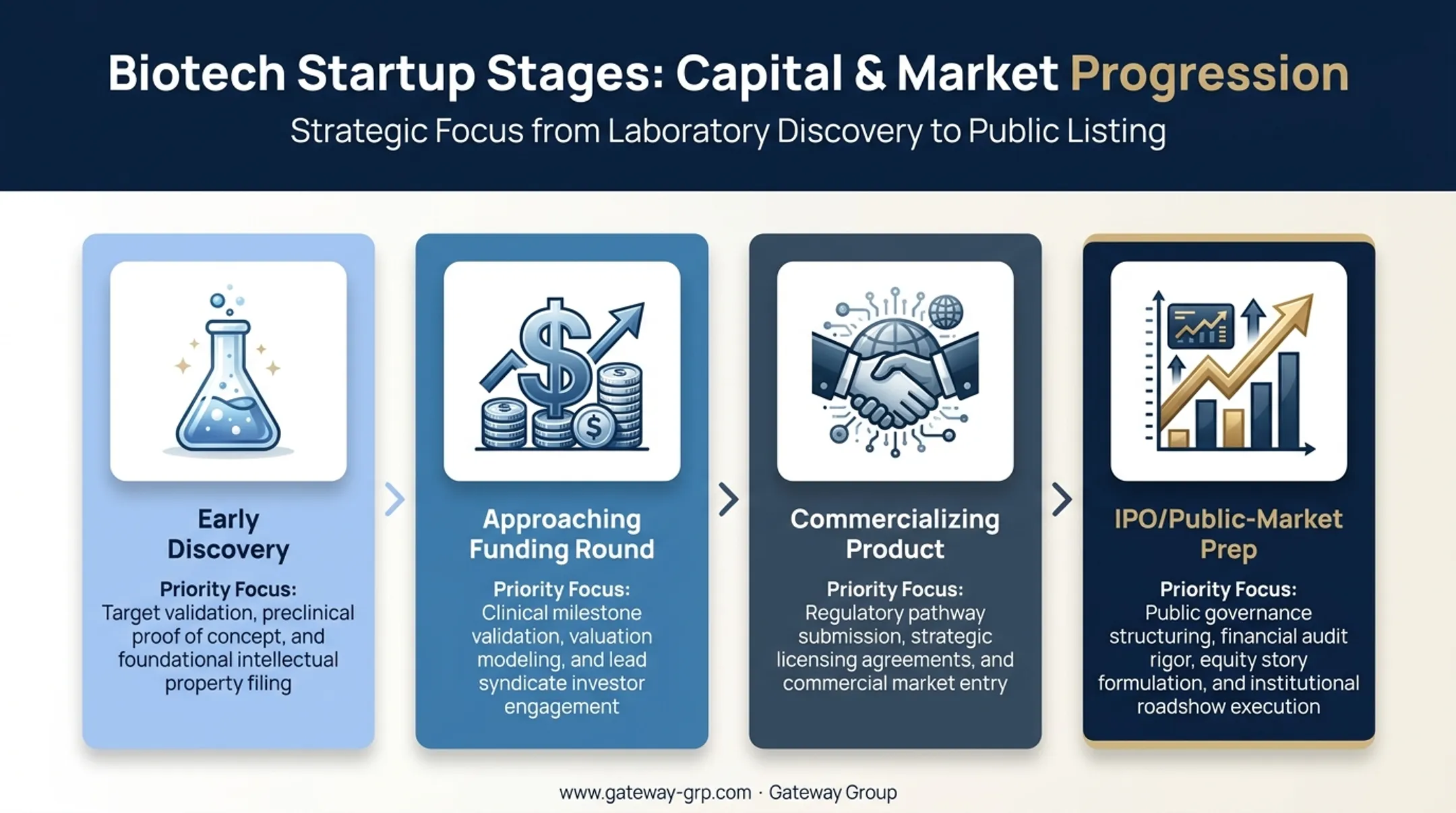 Biotech startup brand priorities across four growth stages timeline
