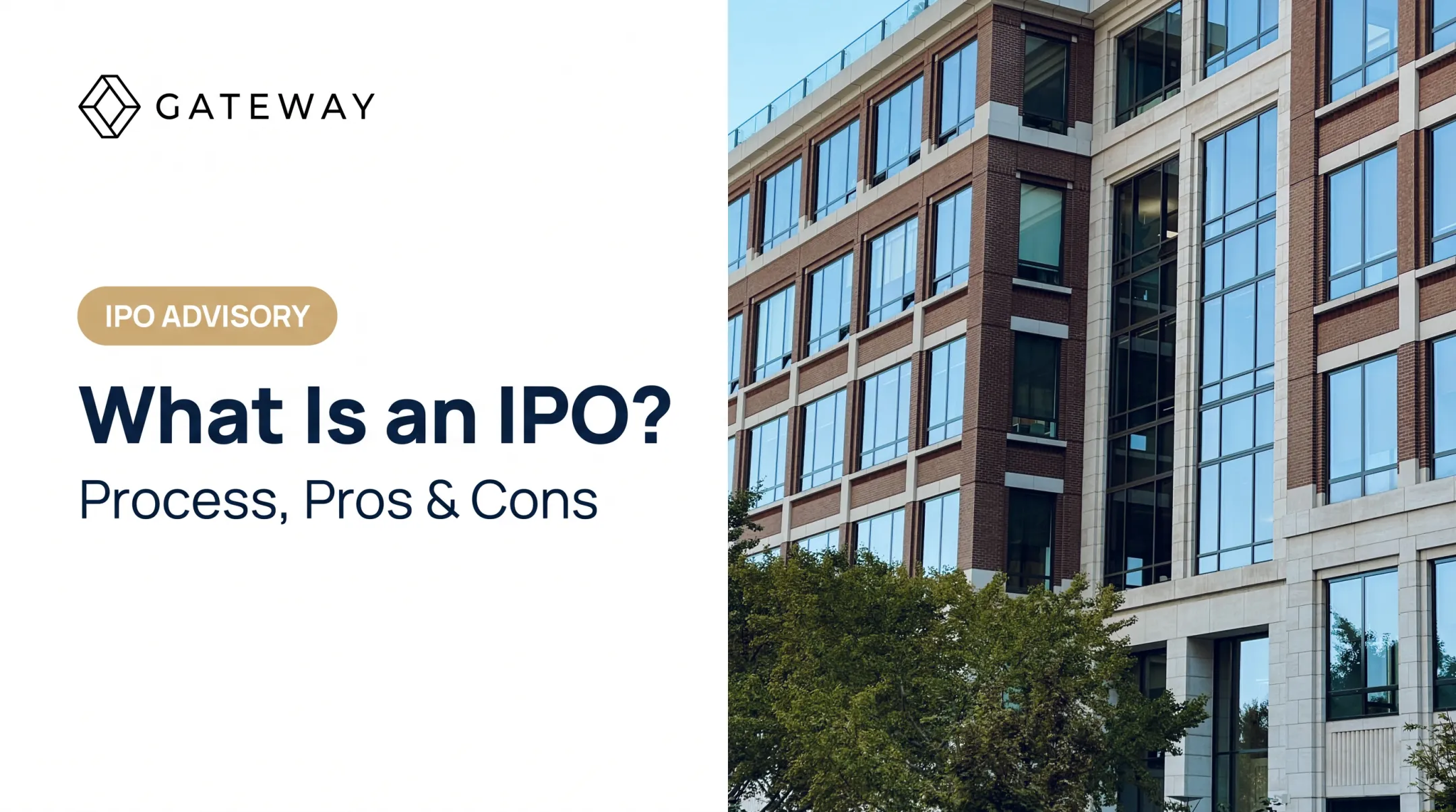 What Is an IPO? Process, Pros & Cons