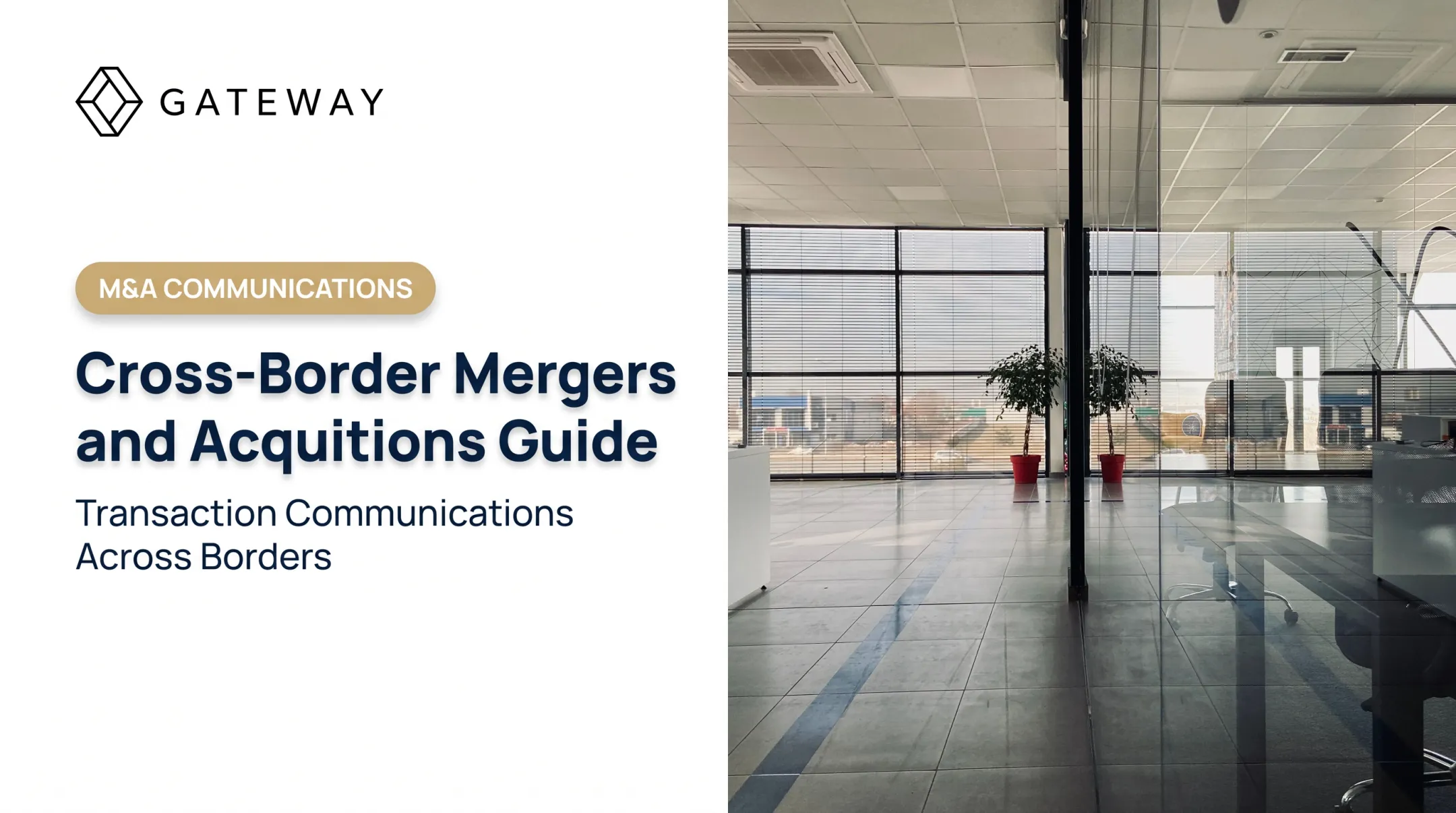Cross-Border Mergers and Acquisitions Guide