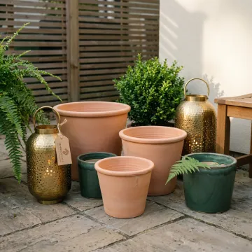Garden & Outdoor