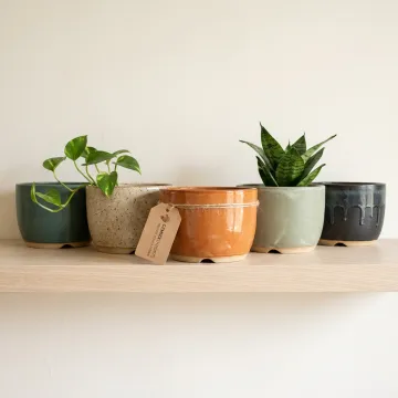 Home Décor & E-Commerce Brands