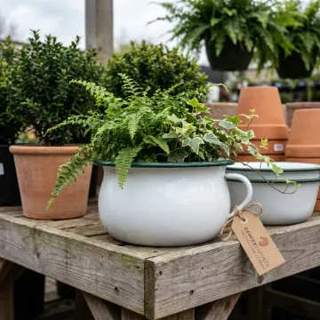 Garden & Planter Retail