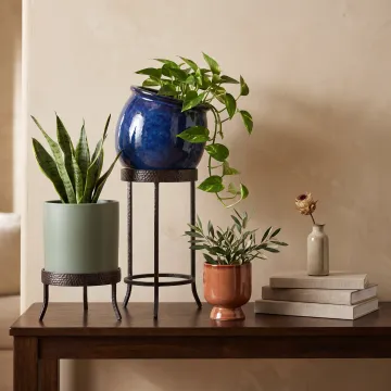 Home Décor and Interior Design