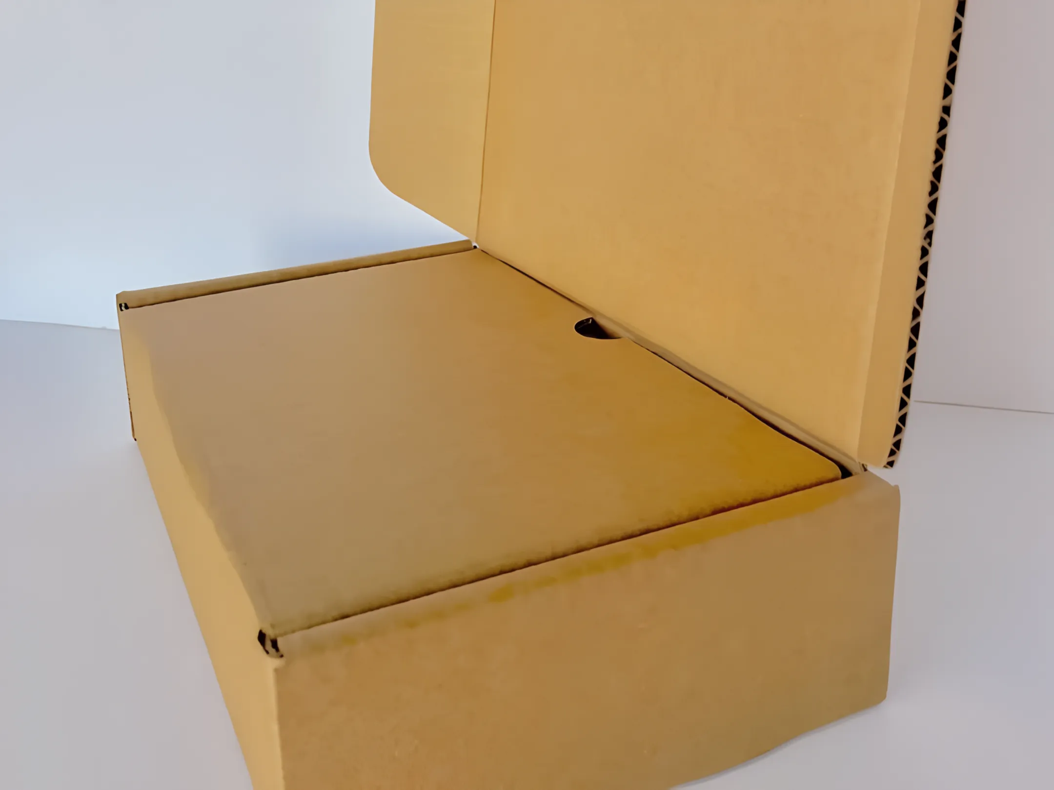 Subscription box company packaging brown corrugated boxes