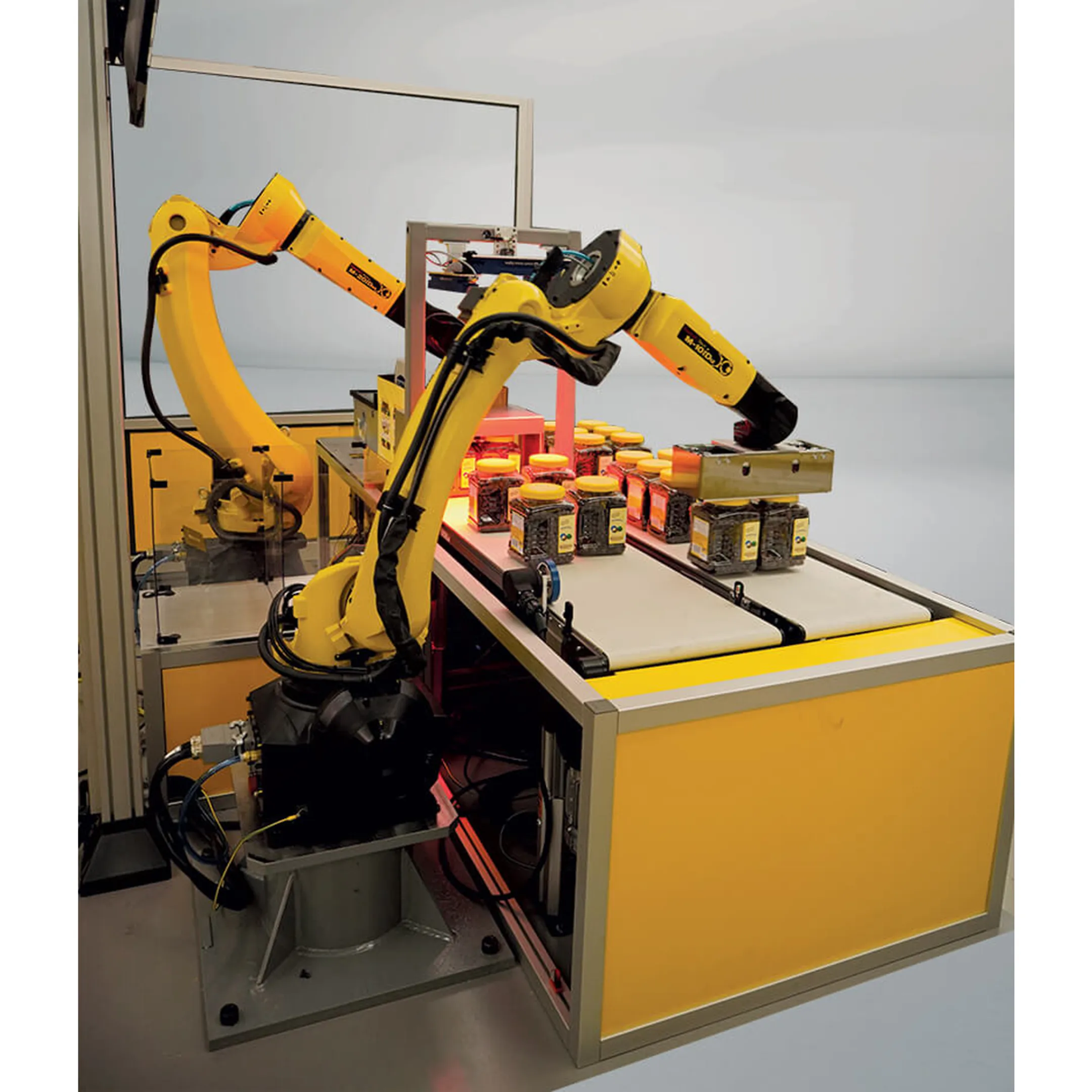 Automated Packaging Solutions