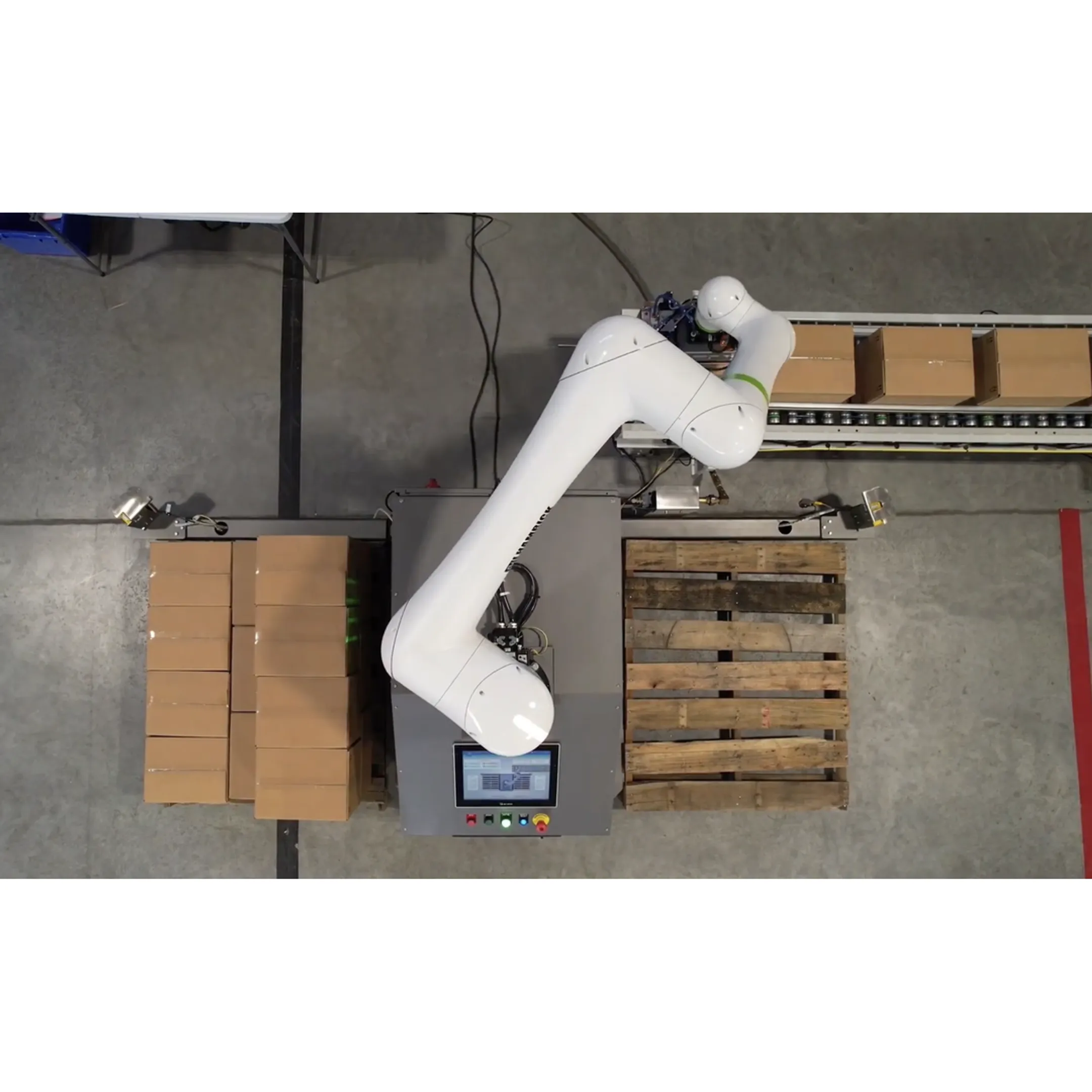 Engineer reviewing robotic palletizer design