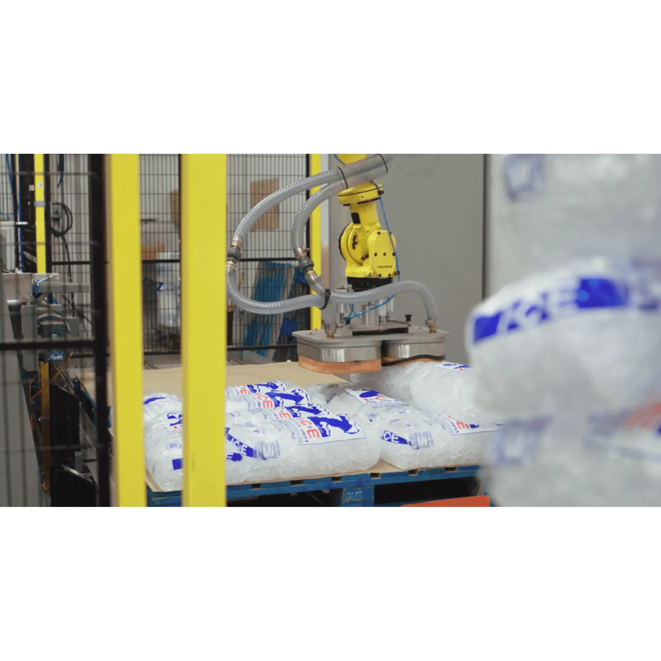 Robotic Bag Palletizing Systems