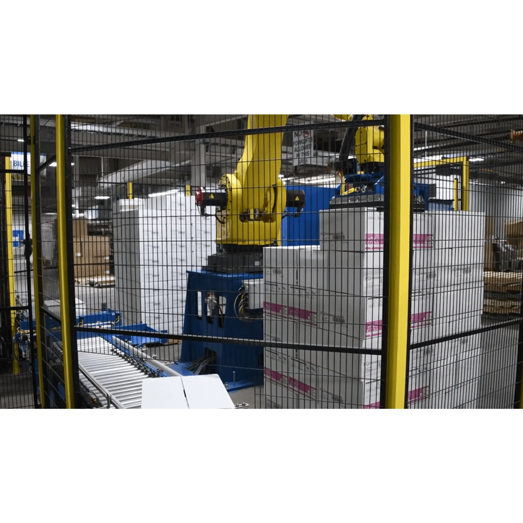 End-of-Line Robotic Case Packer and Palletizer