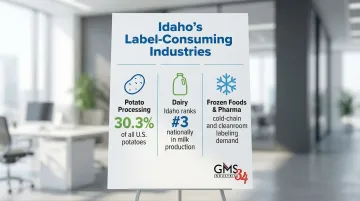 Infographic