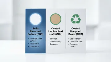 Infographic