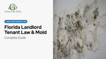 Florida Landlord Tenant Law & Mold: Complete Guide