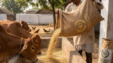 Animal Feed & Pet Food