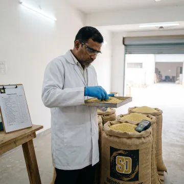 Millet quality check before feed mill dispatch