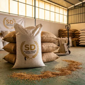 Bulk sorghum grains for cattle feed manufacturing