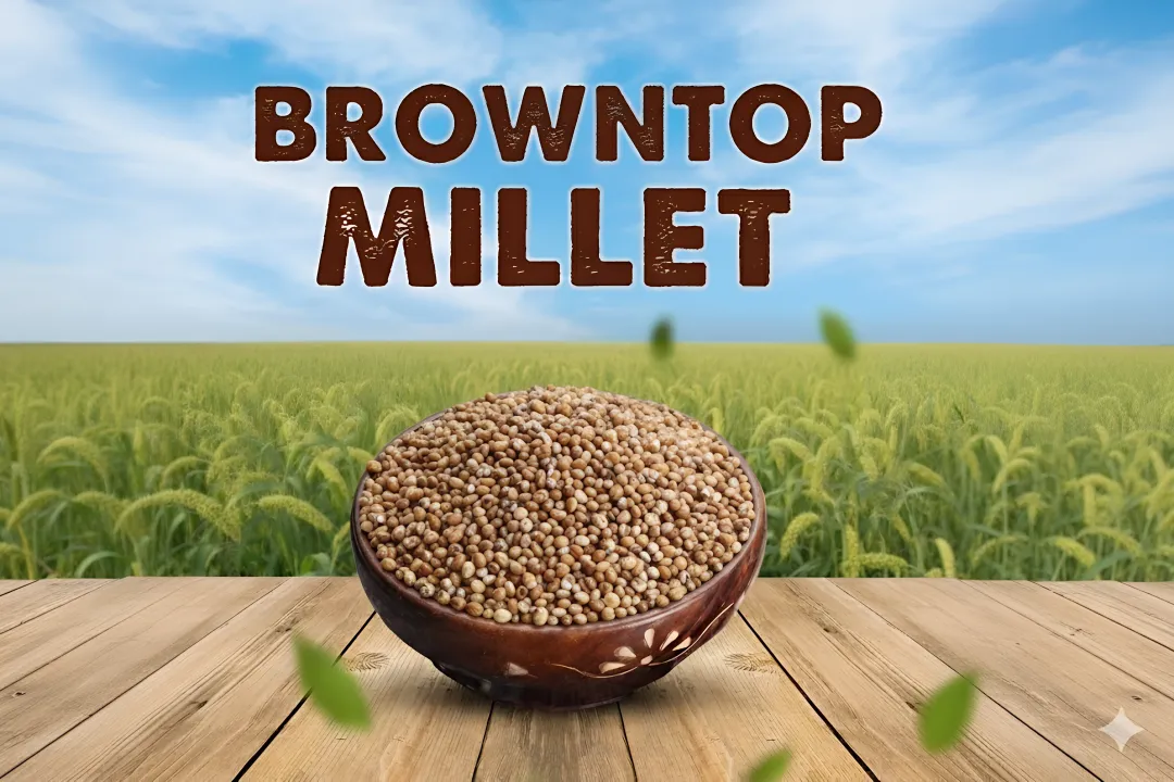Health-conscious Consumer Products