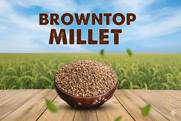 Health-conscious Consumer Products