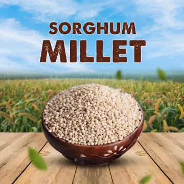 Health Food Products