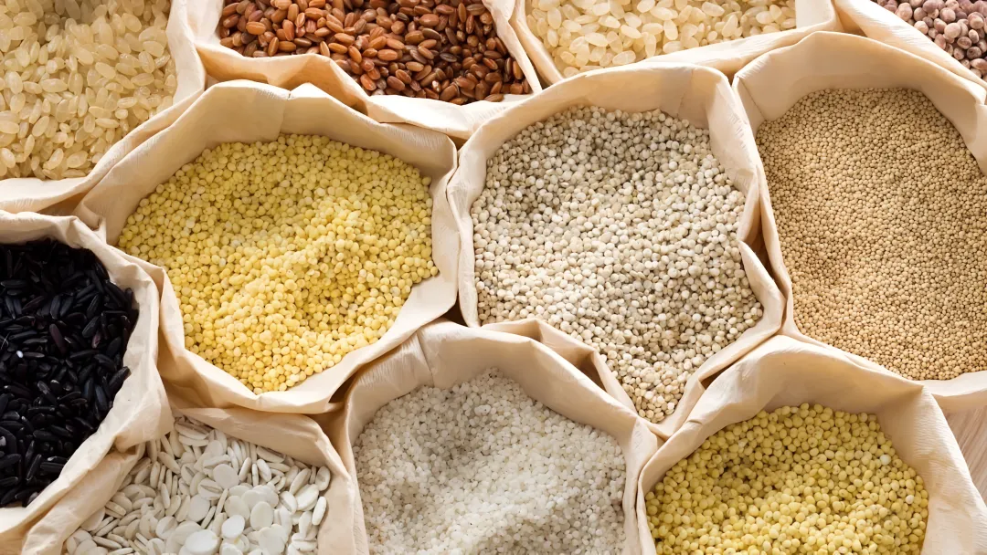 Animal Feed & Pet Food