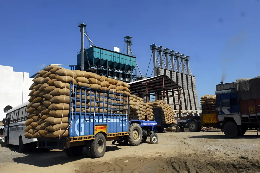 Animal Feed Industry