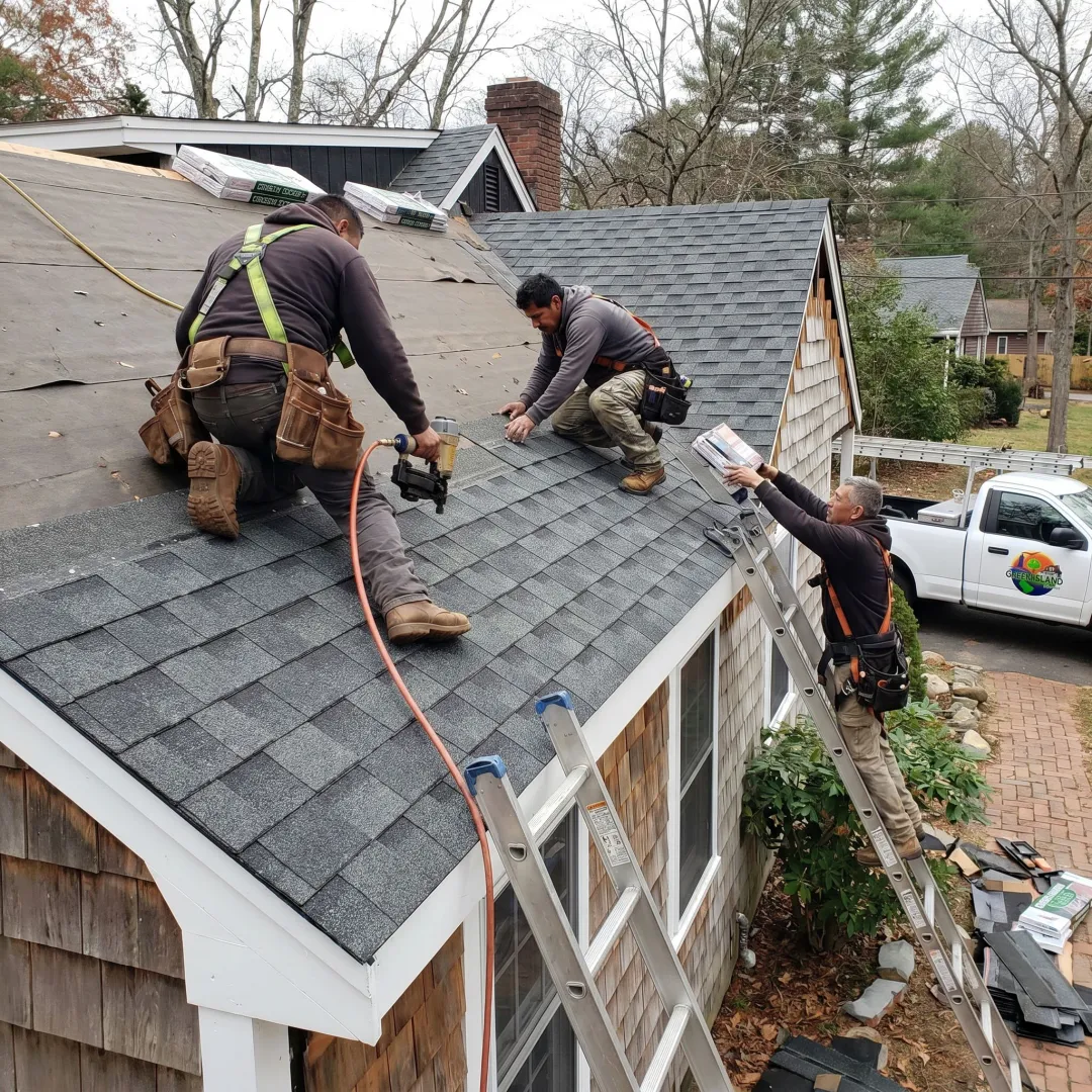 Shingle Roofing Company — Professional Services