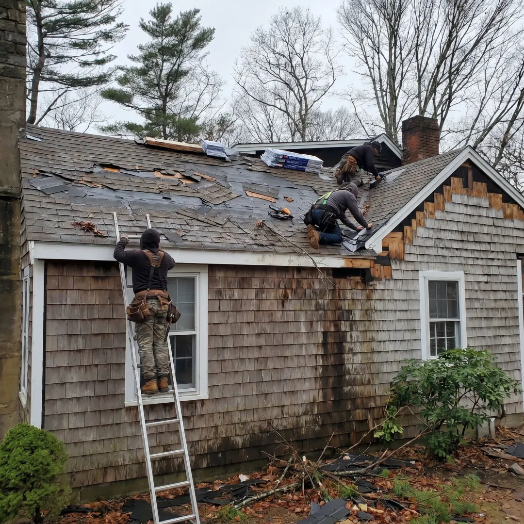 Storm Damage Roof Repair Services