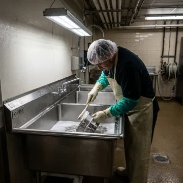 Food Processing & Industrial Facilities