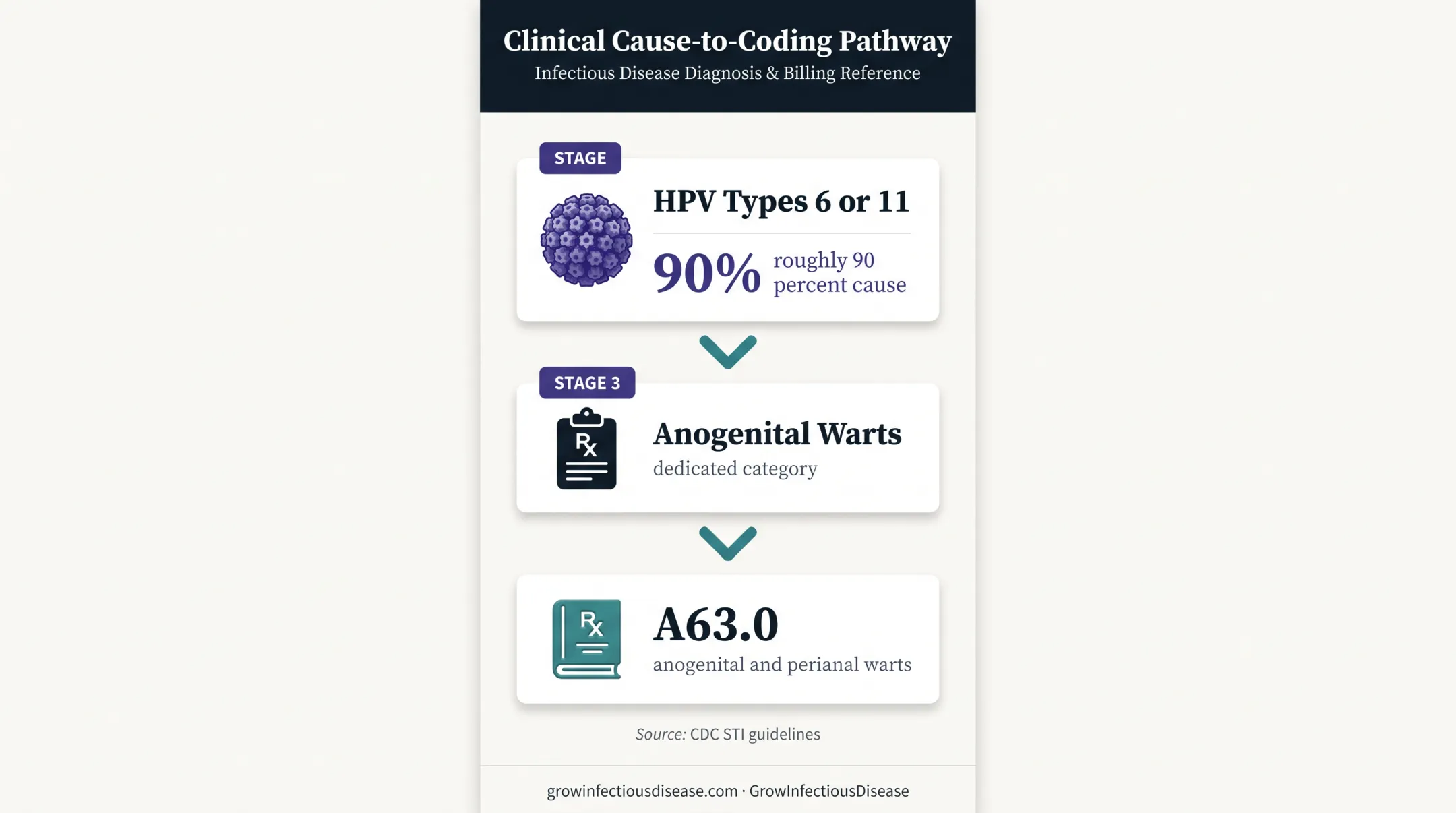 Anogenital warts HPV causes and A63.0 coding pathway