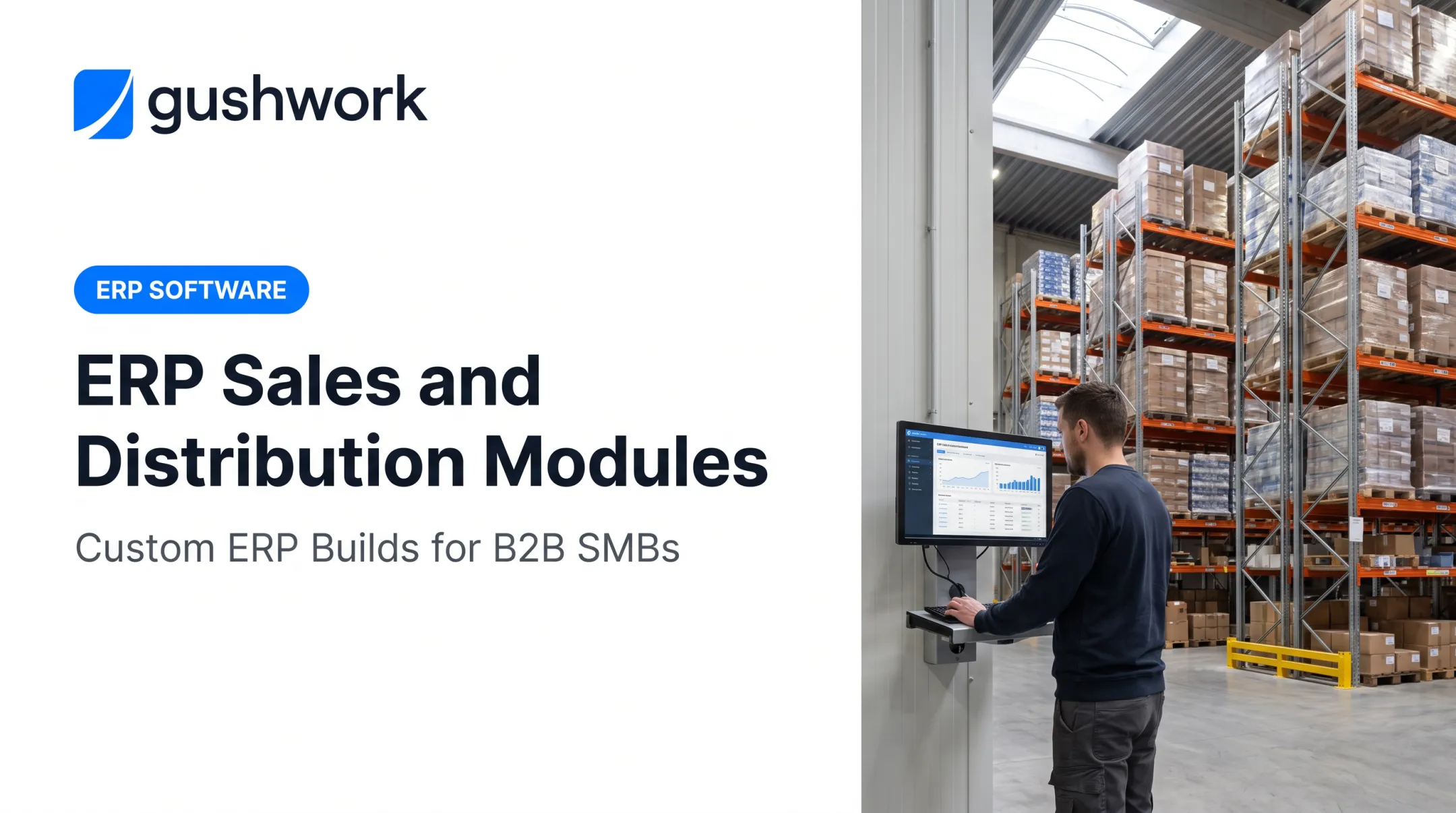 ERP Sales and Distribution Modules