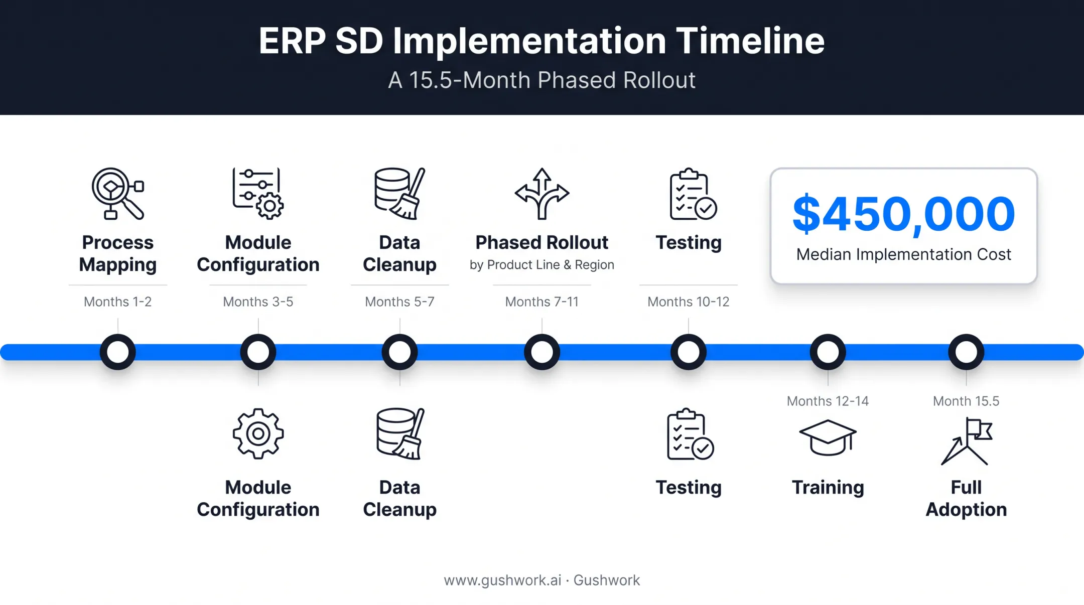 SD module implementation phased rollout timeline and budget milestones