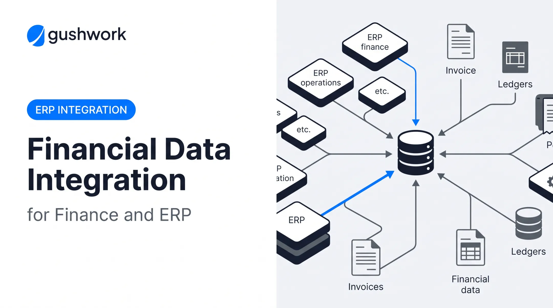 Financial Data Integration for Finance and ERP