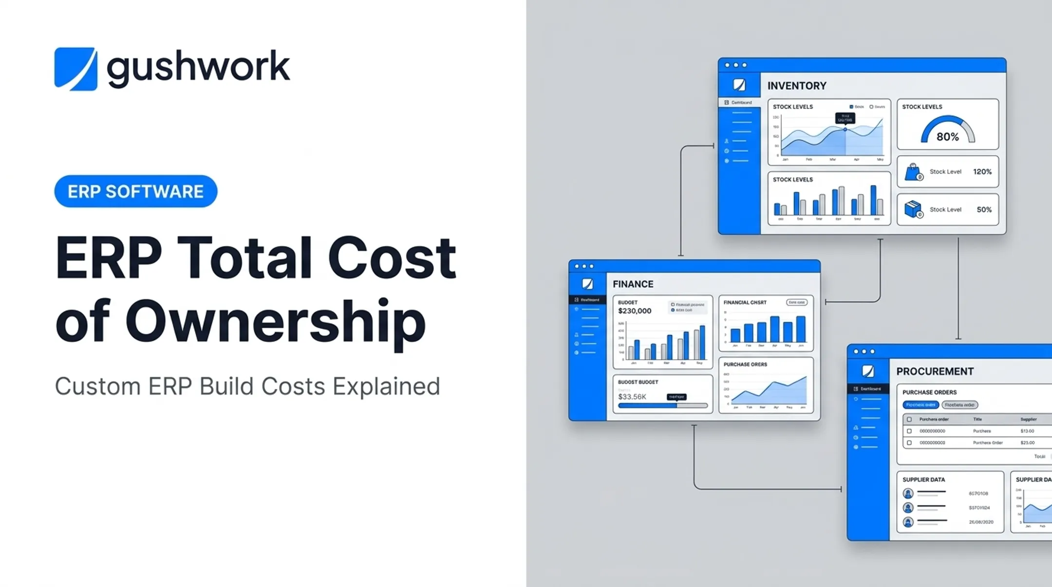 ERP Total Cost of Ownership (TCO)